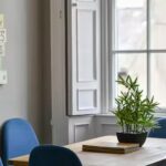 c5f9eea1-8e67-4b9d-8586-549902ae7984